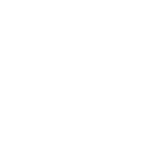 Instituto FHN